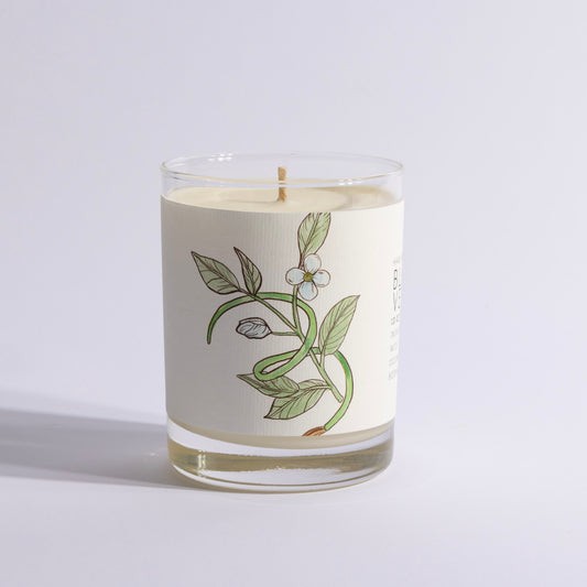 A decorative candle in a clear glass holder featuring botanical illustrations on the label.