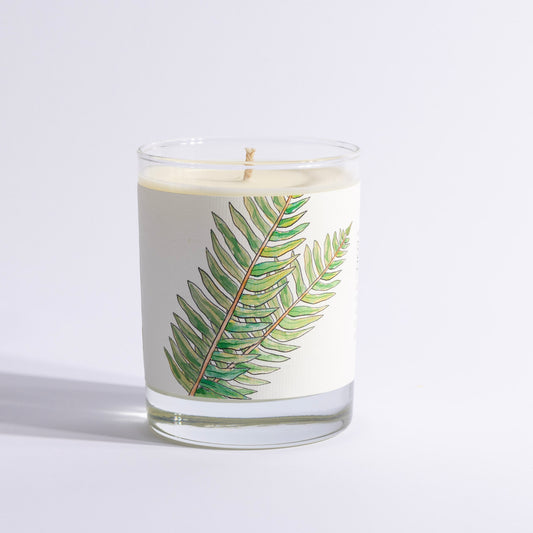 Sandalwood Fern