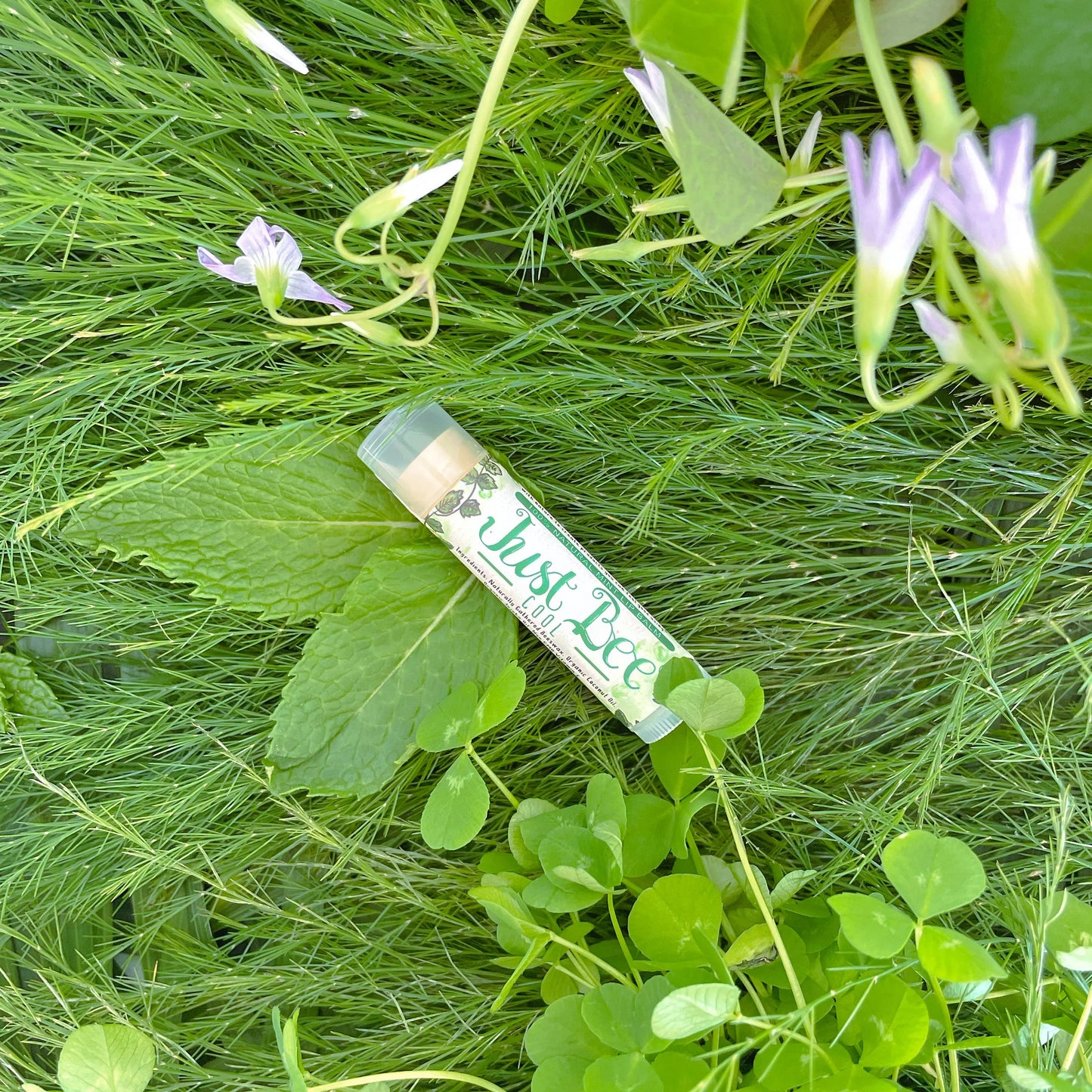 Just Bee Cool Just Bee Cosmetics