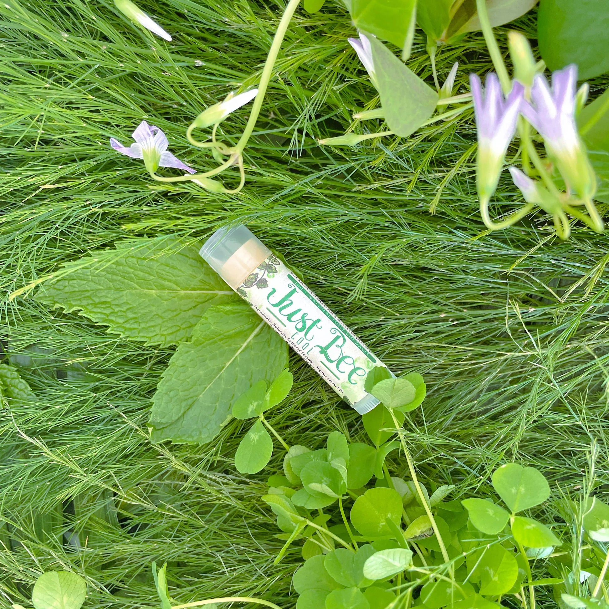 Just Bee Cool Just Bee Cosmetics