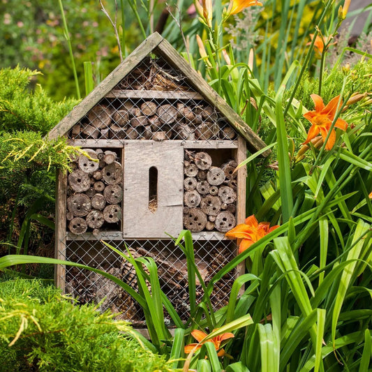 A wooden bee hotel filled with hollow stems and tubes, nestled among orange daylilies and greenery