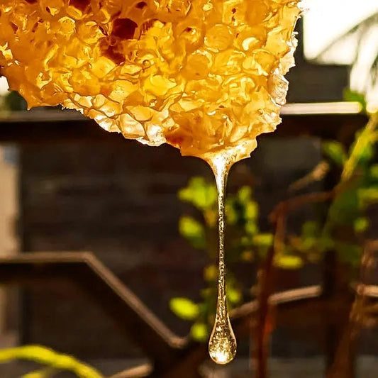 Golden honey dripping from a piece of honeycomb