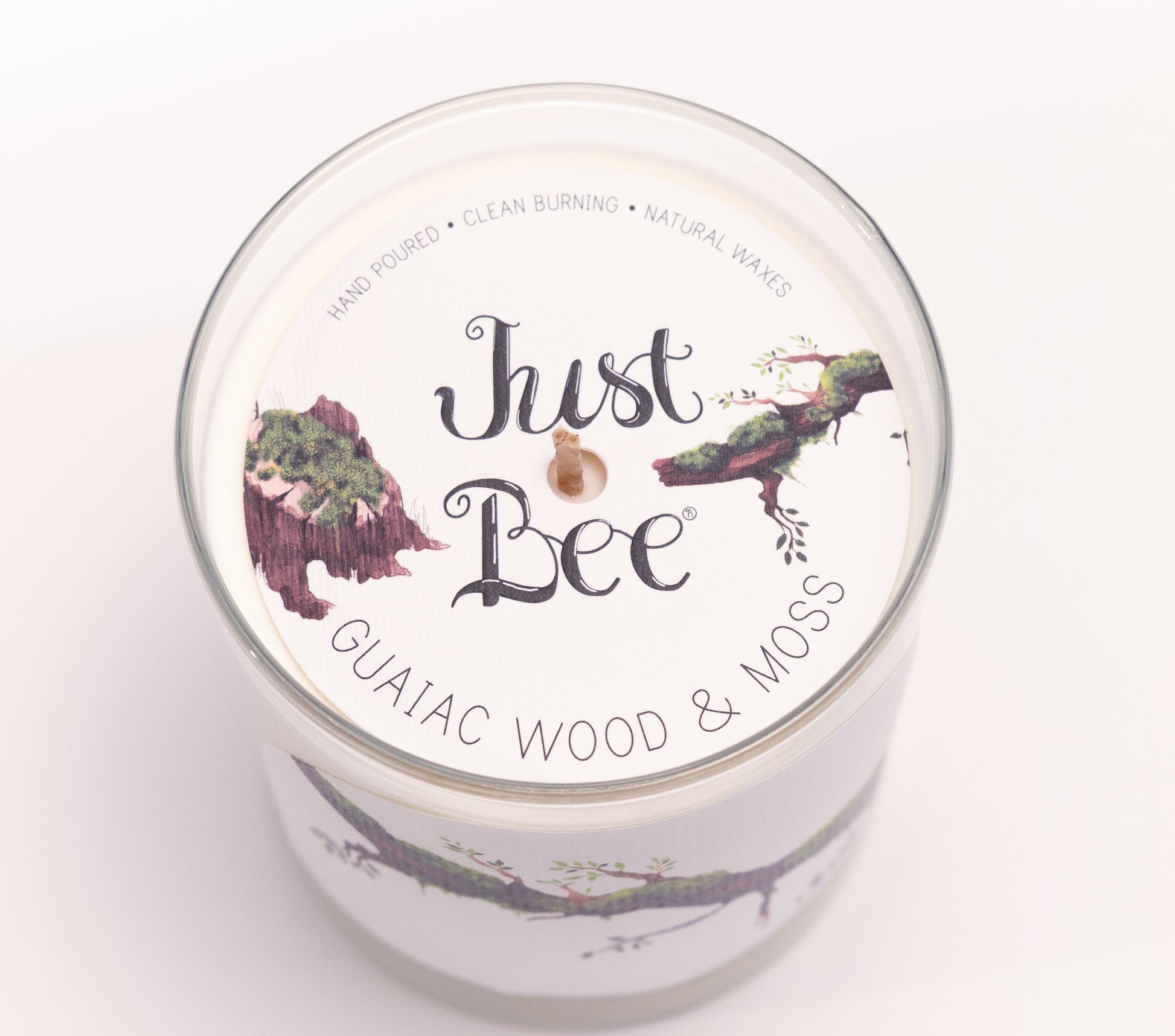 Just Bee Guaiac Wood & Moss candle from above, round lid label with a mossy branch and a centered wick.