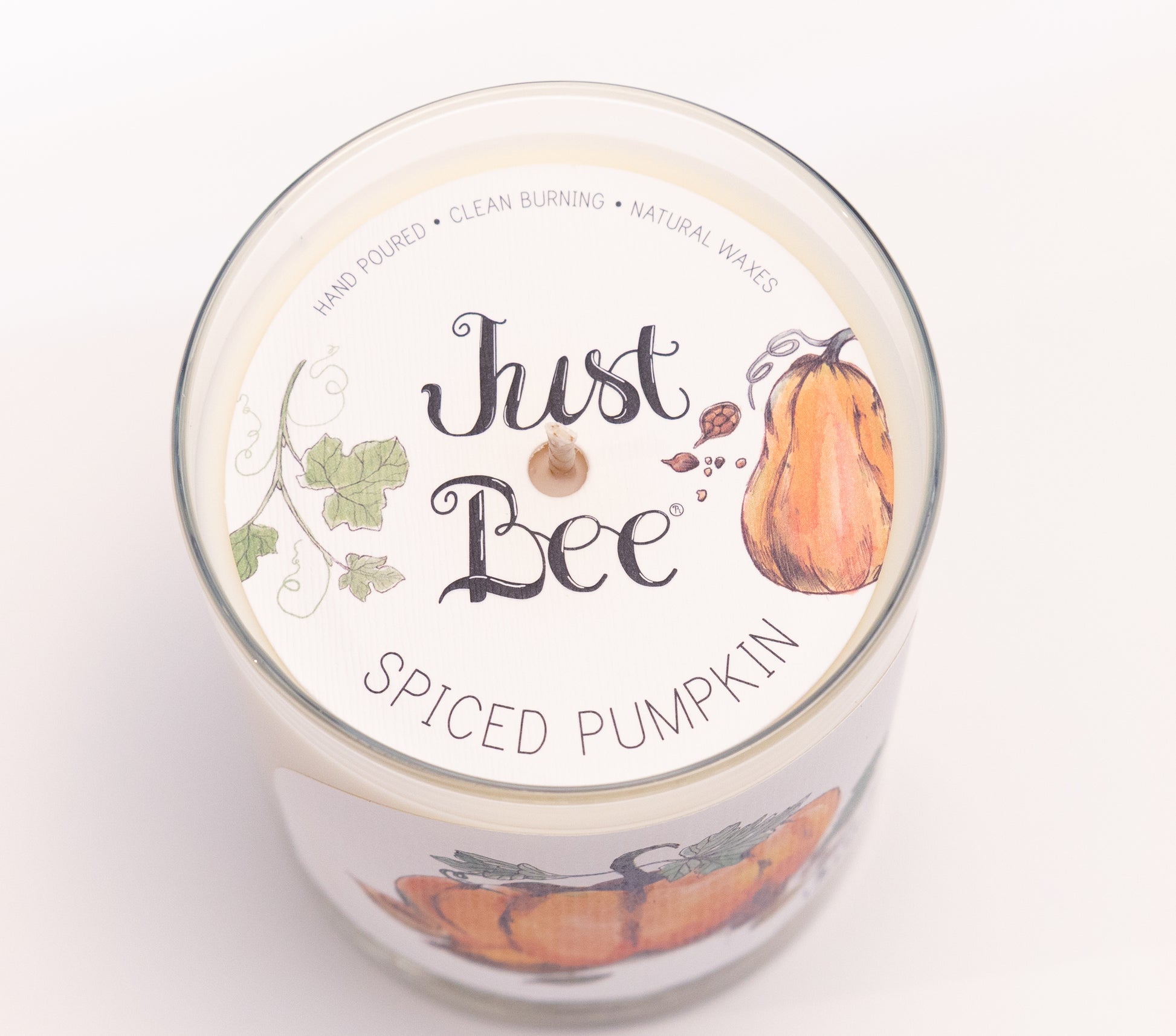 Just Bee Spiced Pumpkin candle from above, round lid label with pumpkins, vines and a centered wick.