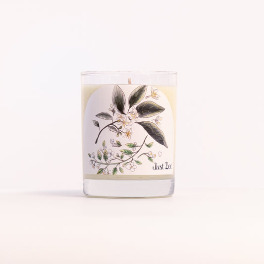 Just Bee Jasmine & Orange Blossom candle in a clear glass jar illustrated with white blossoms on a branch.