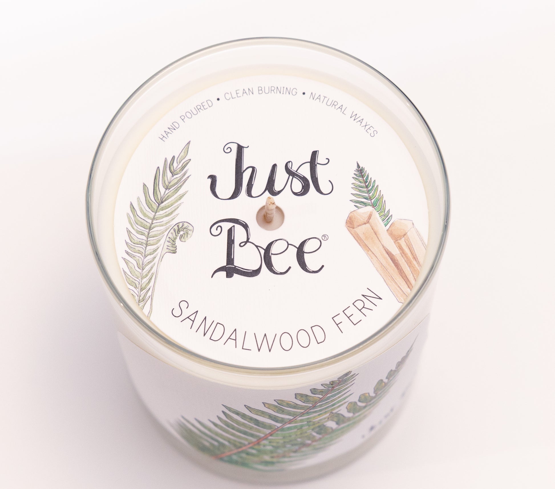 Just Bee Sandalwood Fern candle from above, round lid label with fern fronds and a centered wick.