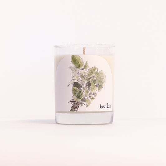 Just Bee Summer Mint candle in a clear glass jar illustrated with fresh green mint sprigs.