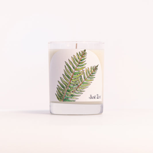 Just Bee Sandalwood Fern candle in a clear glass jar illustrated with a green fern frond.